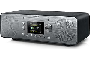 Muse - (M-885 DBT) Dab+/FM/CD/USB/Bluetooth Micro System, Gris Oscuro