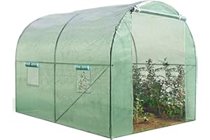 IDMarket - Invernadero de túnel de jardín, 6 m², color verde, gama de hortalizas Roma, 2 x 3 m