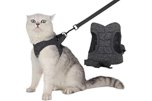 WD&CD Cat Harness and Leash Set, Escape Proof Cat Harness Adjustable Soft Cat Walking Jackets with Retractable Cat Leash For Pet Puppy, Medium