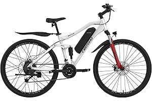 E MOTORAD - RIDE THE ELECTRIC REVOLUTION EMotorad EMX+ | Vélo électrique tout-terrain pour adultes | pneus CST 27,5 x 2,0" | moteur 36 V 250 W | batterie 13 Ah amovible | double suspension | freins à disque mécaniques | écran LCD