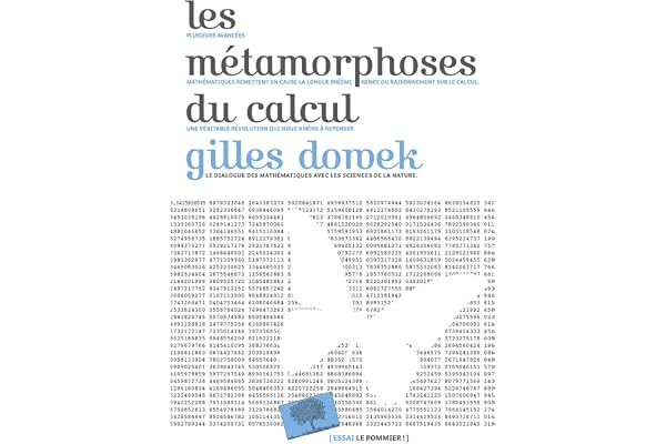 Les metamorphoses du calcul: Une étonnante histoire de mathématiques