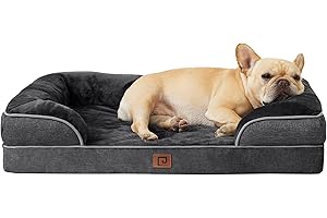 EHEYCIGA Orthopädisches Hundebett Kleine Hunde, Memory Foam Hundekorb Mittelgroße Hunde, Waschbar Hundesofa Wasserdicht rutschfest, Hundecouch mit Hohem Rand