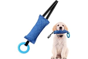 EPODA Jouet Chien Indestructible, Boudin Jouet pour Chien Interactif, Mâcher Corde Jouets pour Jeux Chiens, Cadeau (Bleu)