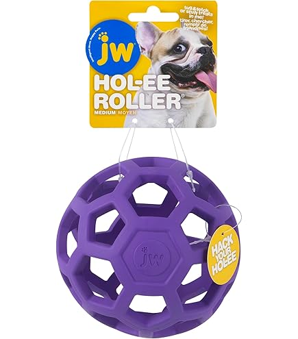 JW Crackle Ball Medium - Palla Da Gioco Per Cani, Con Cuore In Plastica Bottled