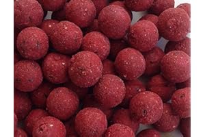 GENERICO BOILIES BOILE al Peperoncino BOILES Habanero CARPFISHING DIAM 20 Pesca Carpa PASTURA Esca INNESCO Aroma