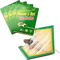 ALLBASA Pièges à Souris Collants Lot De 5 - Plaques Glu Anti-Rongeurs Efficaces