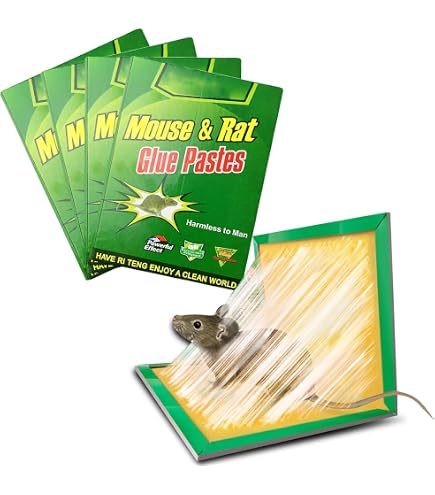 Piège à Rat s Cafard Pack De 10 Pièges à Souris Colle - Très Collant Et Non Toxique - Pour Maison, Cuisine, Bureau, Jardin Pièges Colle Lutte Antiparasitaire écologique Intérieur Extérieur Piège à Rat s Cafard Pack De 10 Pièges à Souris Colle - Très Collant Et Non Toxique - Pour Maison, Cuisine, Bureau, Jardin Pièges Colle Lutte Antiparasitaire écologique Intérieur Extérieur
