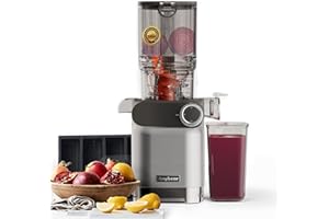 Anybear Cold Press Juicer, 200W Masticating Slow Juicer 4.3" Large Feed Chute Fit Whole Fruits Vegetables | Upgraded Auger | Tritan Materials | BPA Free | Juice Recipes (Silver Gray)