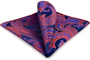 S&W SHLAX&WING Carré De Poche Paisley Traditionnel 32cm Costume Mariage Cérémonie Haut De Gamme
