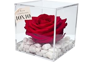 PREMIUM-ROSE.COM OneFlower by PREMIUM ROSE - Cubo Rosa Stabilizzata Rossa 10 cm con Marmo di Carrara - Rosa Eterna Stabilizzata Idea per San Valentino e Festa Della Mamma Made in Italy - Rosso A 1010
