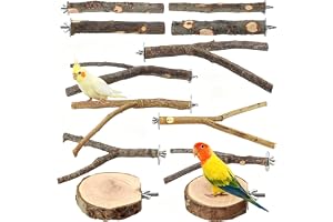 QingWing 12 stycken sittstänger för undulat, undulat sittstänger med skruvar, underläggsskivor, fågelburstillbehör Natur sittstänger set för fåglar, nymfpapegojor, olika