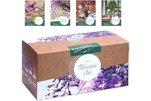 Bonsai Starter Kit – 4 außergewöhnliche Bonsai Samen für dein eigenes Bonsai Baum Projekt. Nachhaltiges & plastikfreies Bonsai Anzuchtset - einzigartiges Geschenk für Frauen und Männer. Bonsai Set