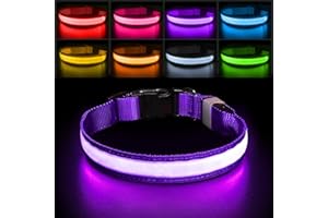 PCEOTLLAR ObrożA Led Dla Psa 7 Zmian KoloróW Akumulator Wodoodporna MgłA MałE śRednie DużE Psy Super Jasne Dla BezpieczeńStwa W Nocy - Fioletowy -M