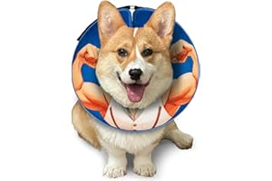 FWLWTWSS Halskrause Hund & Katze, Aufblasbarer Halskrause Hund Weich, Verstellbarer Schnalle, für Genesung Nach Operationen Oder Wunden, M+