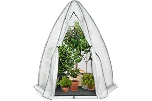 IDMarket - Serre d'hivernage dôme 160 x 160 x 180 cm Balcon et terrasse