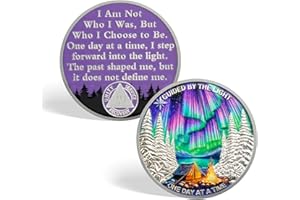 CHURYUML One Day at a Time 25 Year Sobriety Coin - Guided by The Light Sober Chip, AA Coins Recovery Medallions Alcoholics Anonymous Token Sobriety Gifts for Women & Men Celebrating Milestones