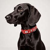 GOBYPET Desenli K&ouml;pek Boyun Tasması 25 mm, Ayarlanabilir 39-55 cm, G&uuml;&ccedil;lendirilmiş Emniyet Kilitli Toka, Paslanmaz Metal D Hal