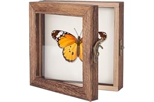 AHANDMAKER Espositore per insetti con coperchio trasparente, in legno, per raccogliere esemplari, 15,2 x 15,2 cm