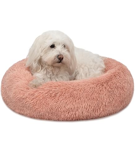 60cm Letto Per Gatti E Cani A Forma Di Zampa D'orso Fluffy Peluche Lettino Per Animali Domestici Cuccia Cane Da Interno Letti Per Gatto Lavabili Antiscivolo Cuscino Cane Di Piccola,Media Taglia - 9