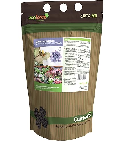 DCM Terreau pour cactus, plantes grasses et plantes de rocaille 10L