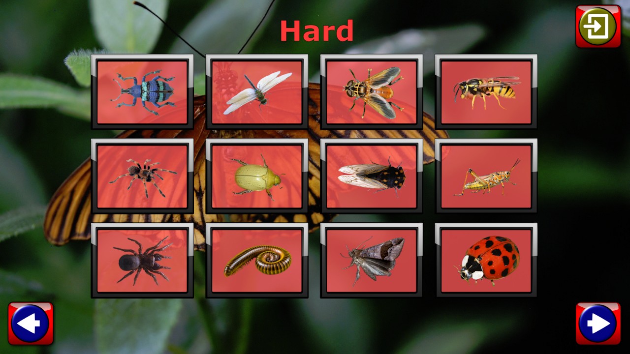 Kids Insect Jigsaw Puzzle and Memory Games - educational fun for ...
