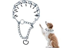 YNR Collar de Perro de Acero Inoxidable Ajustable y Desmontable - Entrenamiento Al Aire Libre, Pata Áspera Duradero - Para Perros Medianos y Grandes - Plata 3,5mm*55cm