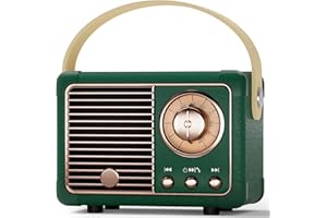 Caulikine Mini Tragbarer Bluetooth Lautsprecher Coolen Retro Bluetooth Lautsprecher Perfekt für Zimmer Deko,Büro Deko,Wohnzimmer Deko Modern Musikbox Kindergeburtstag Gastgeschenke,Geschenke(Grün)