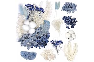 KSJEHW Fiori Secchi Decorativi - Composizione Fiori Secchi Naturali (Blu Nero)