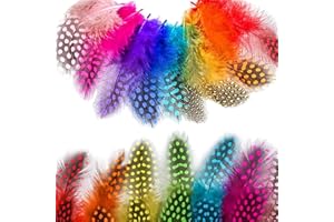 SSyang 200 Pièces Plumes Colorées, Plumes Loisirs Creatifs Plumes Colorées, Plumes Multicolores Déco, Pour Les Attrape-rêves DIY, Chapeaux, Boucles D'oreilles, Diadèmes, Halloween（Multicolore）