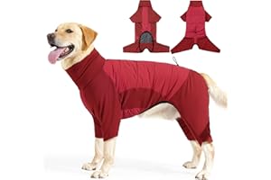 PAWIVID Manteau d'hiver avec Jambes pour Chien, Veste Coupe-Vent en Polaire avec Col Roulé pour Chien, Pyjama Chaud avec Trou pour Laisse pour Chiens de Petite, Moyenne et Grande Taille (Rouge, XS)