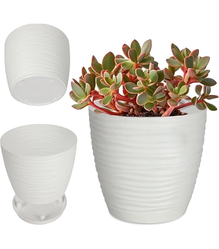Acan Tradineur - Confezione da 2 vasi rotondi in plastica per piante e fiori mediterranei con fori inferiori. Vaso per fiori per esterni e interni della casa, colore verde, 35 cm