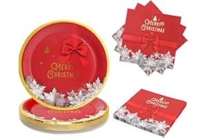 PARTY GO Christmas 50PCS Paper Plates and Napkins, 25 Each of 9in Chrismas Plates and Napkins Paper, Party Tableware with Gift Bow and Snowfall Design for Xmas Decorations