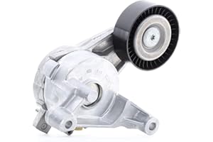 INA 534 0059 10 Braccio tenditore Cinghia Poly-V