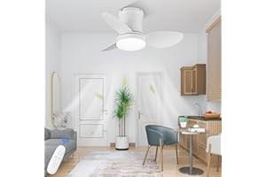 AUTODAY Silenzioso Ventilatore da soffitto con luce 62cm dimmerabile piccolo ventilatore soffitto Telecomando con funzione di memoria Funzionalità estate/inverno DC Motore Reversibili 6 velocità