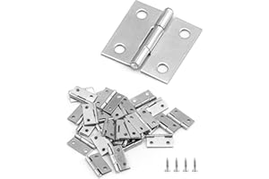 QWORK 40 piezas Mini bisagra 25 mm, bisagras pequeñas, visagras, acero inoxidable, con 160 tornillos, para reparación de puertas, ventanas