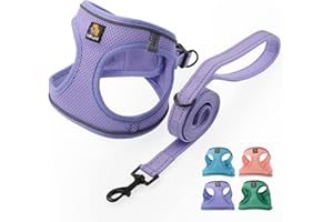 BELLA & PAL Szelki dla szczeniaka z zestawem smyczy, szelki Step in dla małych psów, kamizelka dla psa z paskiem odblaskowym, bez ciągnięcia, bez ciągnięcia, bez kotka, dla XXS, XS, S, M (lawendowa,