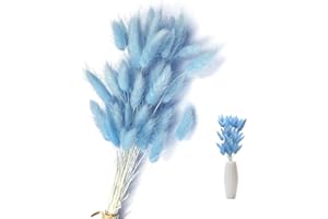 SoeUyd 50 Piezas Flores Secas Decoracion, Flores Secas Naturales, Pampas Secas Decoracion Arreglos de Flores Secas Decoración de Salones Dormitorios, Decoración de Bodas Y Flores DIY