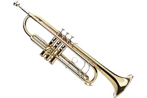 Roy Benson Bb trumpet TR-403 (premium brass construction - extended bell - dark sound character - incl. lightweight rectangular case - with backpack set), lacquered