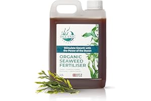 OCEANIC ORGANIC LTD Organic Seaweed Fertiliser, Nutrient-Rich Plant Feed, Liquid Seaweed for Plants, Lawns & Vegetables UK-Made (2.5L)