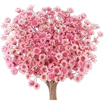 300 Pièces Fleurs Séchées Brésiliennes Mini Bouquet Fleurs Séchées Rose Pâle Daisy Gypsophile Naturelles Étoile Séchée Petit Arrangement de Marguerites Camomille Mariage Bricolage Fête à Décoration