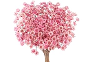 LARBER 300 Pièces Fleurs Séchées Brésiliennes Mini Bouquet Fleurs Séchées Rose Daisy Gypsophile Naturelles Étoile Séchée Petit Arrangement de Marguerites Camomille Mariage Bricolage Fête à Décoration maison