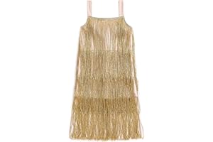 Fiacafyo Toddle Kids Girl Sequin Fringe Dress Sleeveless Sparkling Layered Tassel Dresses Little Girls Party Latin Dance Dress