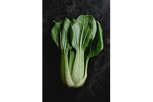 ROOT SOURCE Pak Choi Plug Plants Grow Your Own Salad Plants (12)