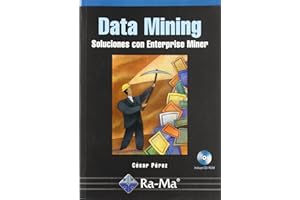 DATA MINING, BIG DATA ANALYTICS AND DEEP LEARNING. EXAMPLES WITH MATLAB