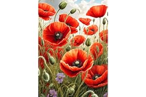 CEOVR Diamond Painting Kit Completo,DIY Diamond Art Kits Adulto,Pintura Diamante 5D,Diamate Painting Kits (Rojo)