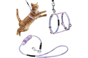 BRUISLARD Cat Harness and Leash Set, Adjustable Escape Proof Kitten Harness for Safe Walking and Travel, Comfortable Soft Easy to Wear for Small Medium Cats(Gradient Purple)