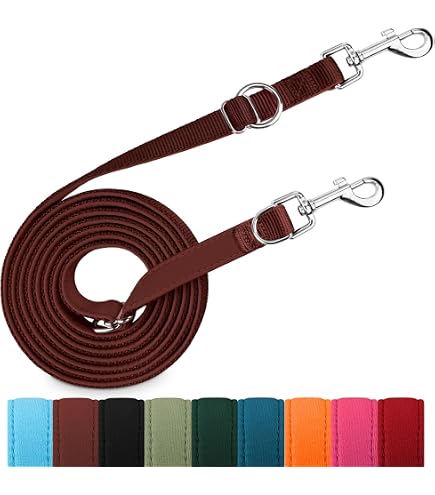 HIKISS Lange Hundeleine – 9 M, Grün, Aus Dickem Nylon, Mit Robustem Clip – Ideal Für Rückruftraining, Outdoor & Große Hunde