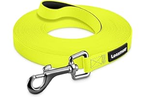 Looxmeer Guinzaglio Addestramento per Cani, Guinzaglio per Cani 3 m/5M/7M/10M/15M/20M/25M/30M Lunghina Cane Leggero Durevole con Moschettone a D, Custodia Portabile, Giallo Fluo