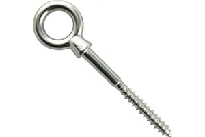 Eisenwaren2000 | Bulloni ad anello 10 x 100 mm (2 pezzi) – Bullone ad occhio con filettatura in legno – Bullone occhiello – Acciaio inox A4 V4A – inossidabile