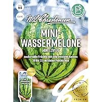 Mini- Wassermelone Mini love F1,zuckersüße Früchte mit sehr wenigen Kernen Samen, apog-01690